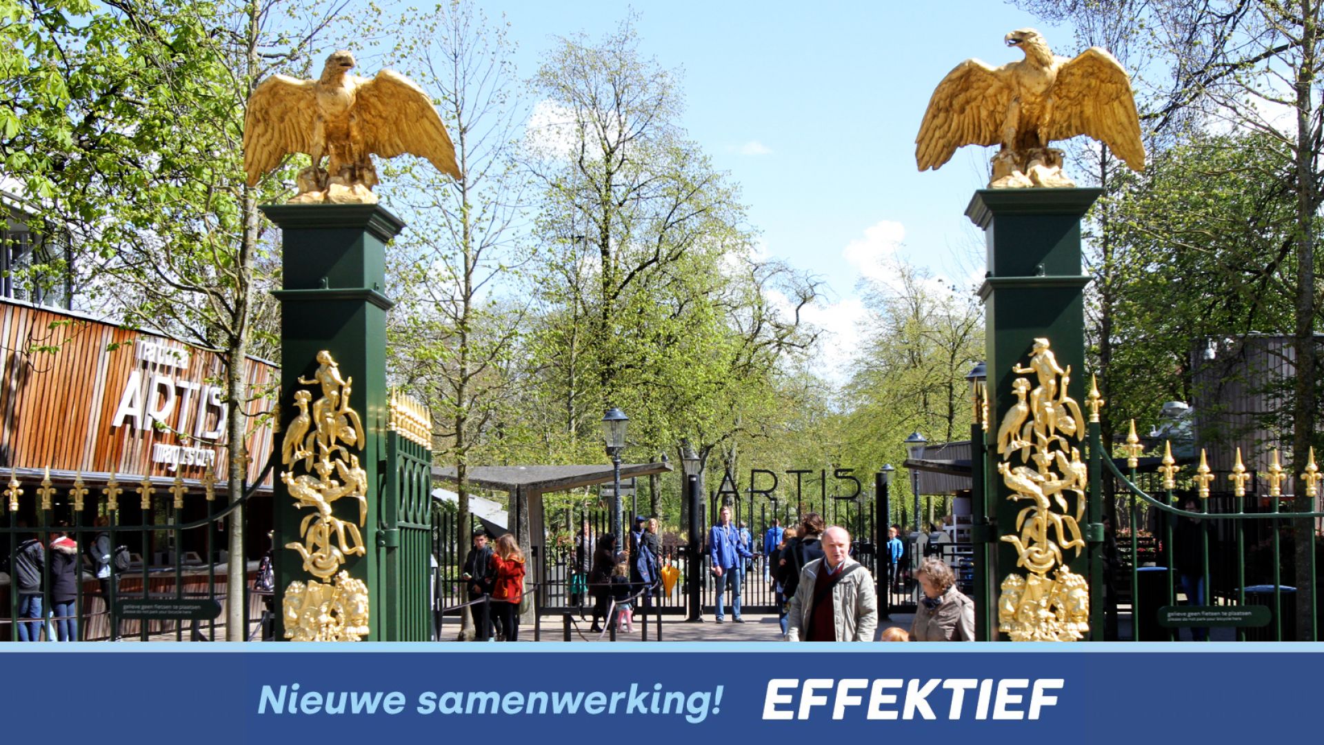 ARTIS kiest voor Effektief!