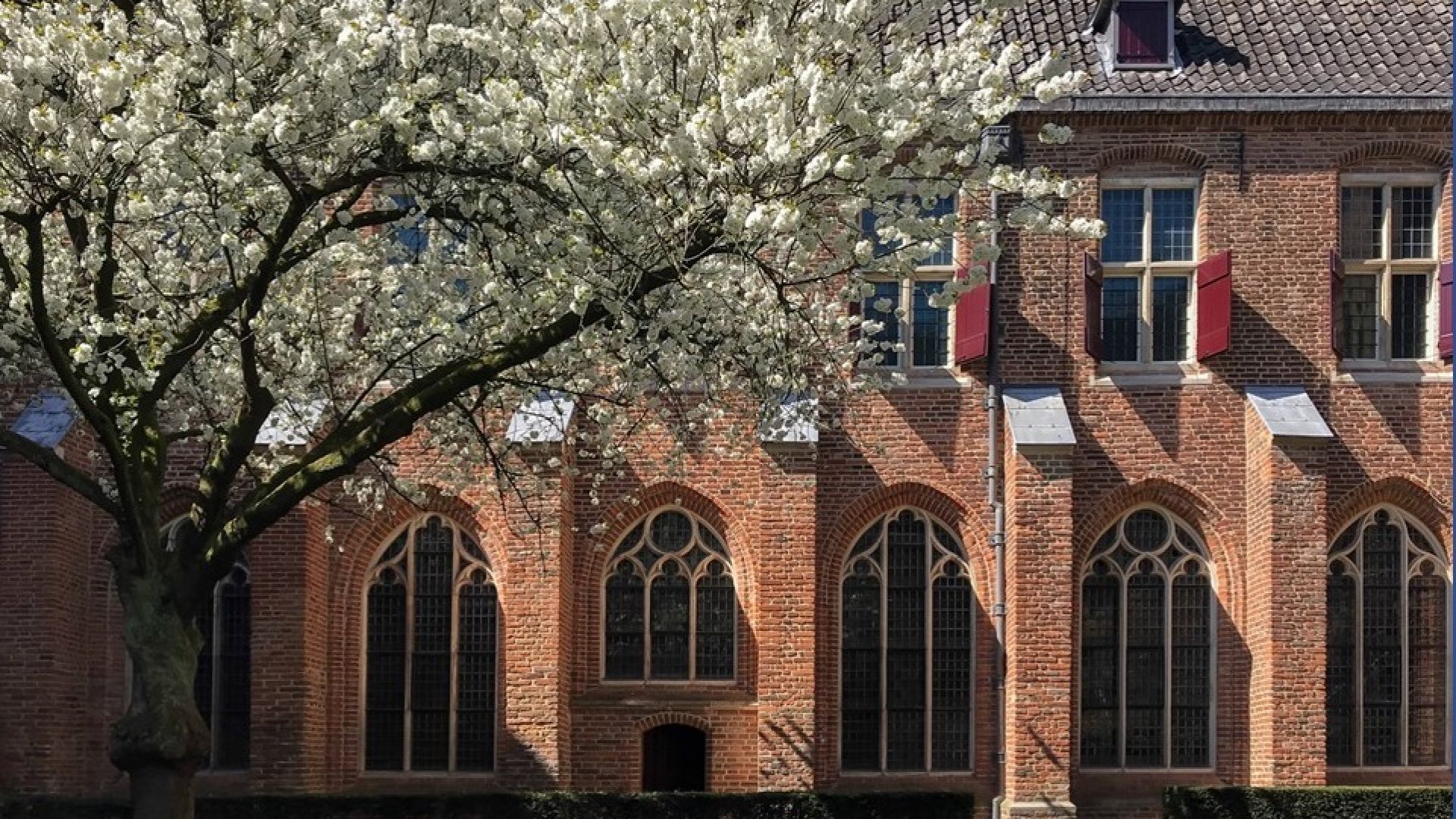 Museum Catharijneconvent haalt flexibele en gastvrije schoonmaak in huis door nieuwe samenwerking met Effektief