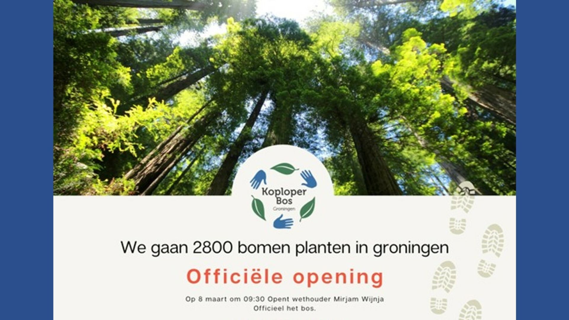 Effektief draagt bij aan CO2 compensatie Groningen Stad